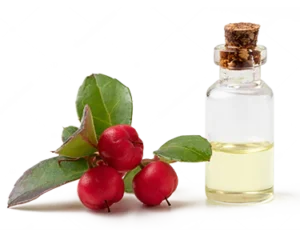 Wintergreen Oil